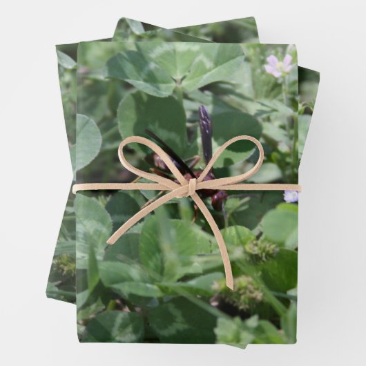 Papierblätter zum Abwasch Geschenkpapier Set (Beispiel)