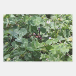 Papierblätter zum Abwasch Geschenkpapier Set