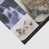 Papiere für Katzen-Liebhaber Seidenpapier (Detail)