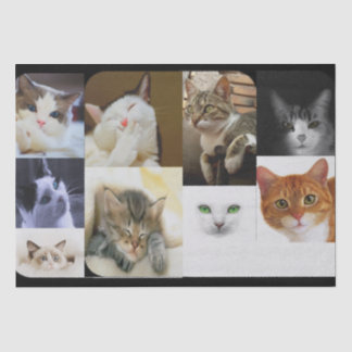 Papiere für Katzen-Liebhaber Seidenpapier