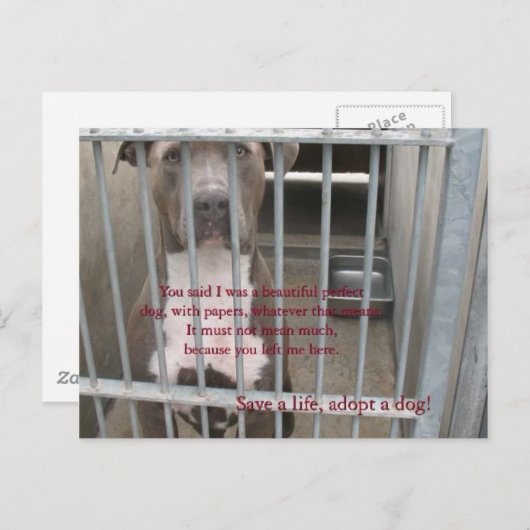 papiere postkarte (Vorne/Hinten)