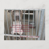 papiere postkarte (Vorderseite)