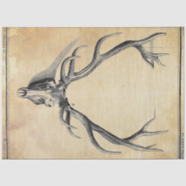 Papierentpackung Seidenpapier