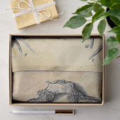 Papierentpackung Seidenpapier (Geschenk)