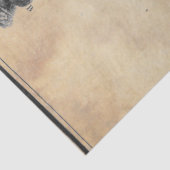 Papierentpackung Seidenpapier (Ausschnitt)