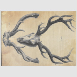 Papierentpackung Seidenpapier