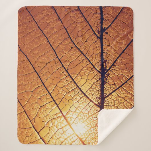 Papierhalbzeug Sherpadecke (Vorderseite)