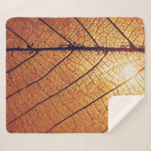 Papierhalbzeug Sherpadecke (Vorderseite (Horizontal))