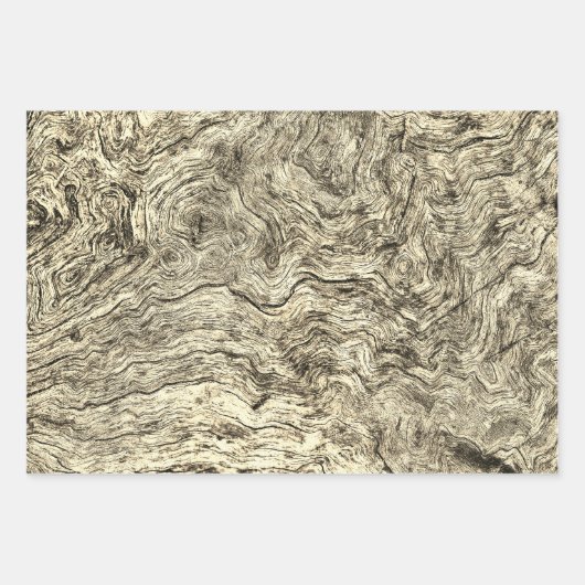 Papierhüllen: Baumrinde-Sammlung Geschenkpapier Set (Vorderseite 3)