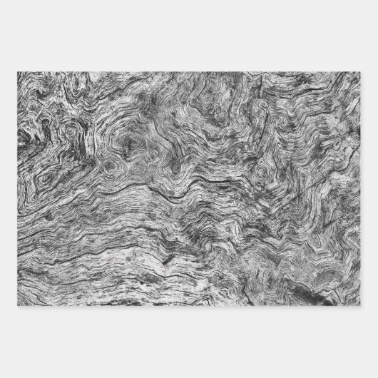 Papierhüllen: Baumrinde-Sammlung Geschenkpapier Set (Vorderseite)