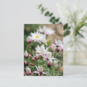 Papierkaskade [Postkarte] Postkarte (Stehend Vorderseite)