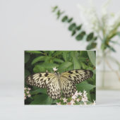 Papierkite-Schmetterling-Postkarte Postkarte (Stehend Vorderseite)