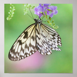 Papierkitt in grün und lila poster