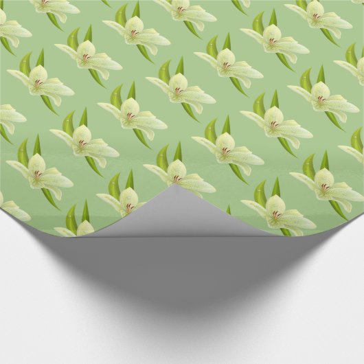 Papierlily-Blume umhüllen Geschenkpapier (Ecke)