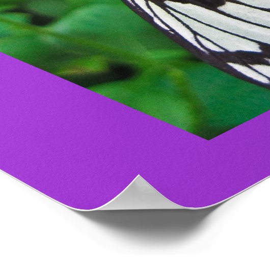 Papiermantel für Lila Blume Poster (Ecke)