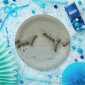 Papierplatte - Ameisen im Picnic Pappteller (Party)