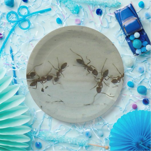 Papierplatte - Ameisen im Picnic Pappteller (Party)