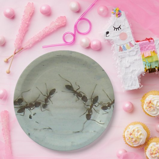 Papierplatte - Ameisen im Picnic Pappteller (Party)