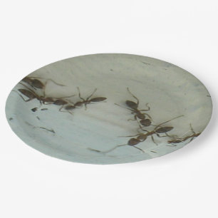 Papierplatte - Ameisen im Picnic Pappteller