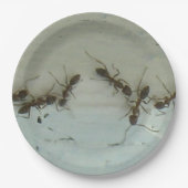 Papierplatte - Ameisen im Picnic Pappteller (Vorderseite)