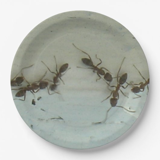 Papierplatte - Ameisen im Picnic Pappteller (Vorderseite)