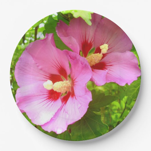 Papierplatte aus rosa Hibiskus Pappteller (Vorderseite)