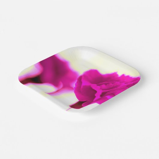 Papierplatte aus rosa Karton Pappteller (Gewinkelt)