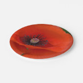 Papierplatte aus rotem Mohn Pappteller (Schrägansicht)