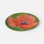 Papierplatte aus rotem Mohn Pappteller (Schrägansicht)