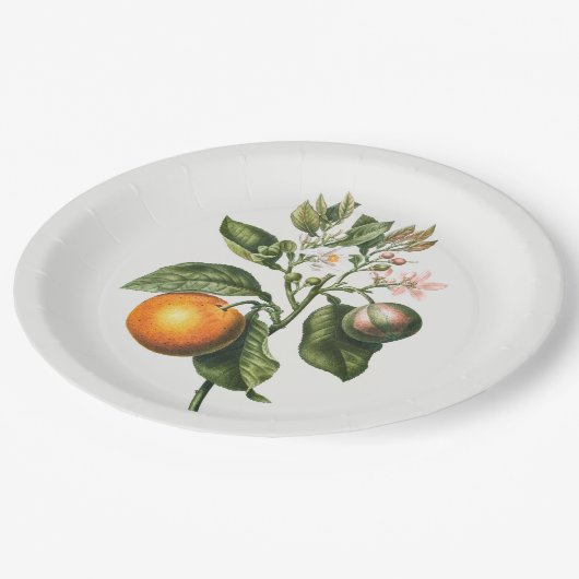 PAPIERPLATTE: BITTER ORANGE BLOSSOM PAPPTELLER (Schrägansicht)