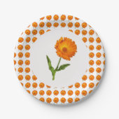 Papierplatte - Calendula Pappteller (Vorderseite)