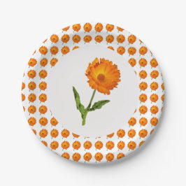 Papierplatte - Calendula Pappteller
