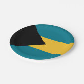 Papierplatte der Bahamas Pappteller (Schrägansicht)