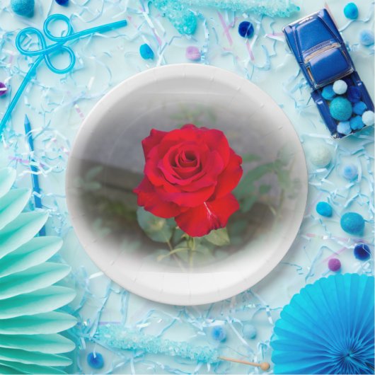 Papierplatte der klassischen Rote Rose Pappteller (Party)