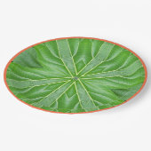 Papierplatte, Ein elegantes grünes klassisches Des Pappteller (Schrägansicht)