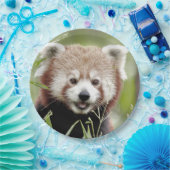 Papierplatte Foto roter Panda. Panda roux.Tiere. Pappteller (Party)