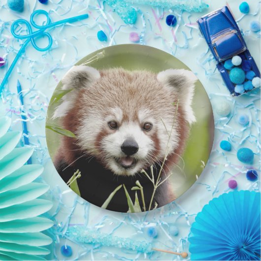 Papierplatte Foto roter Panda. Panda roux.Tiere. Pappteller (Party)