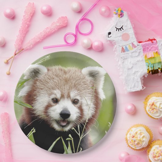 Papierplatte Foto roter Panda. Panda roux.Tiere. Pappteller (Party)