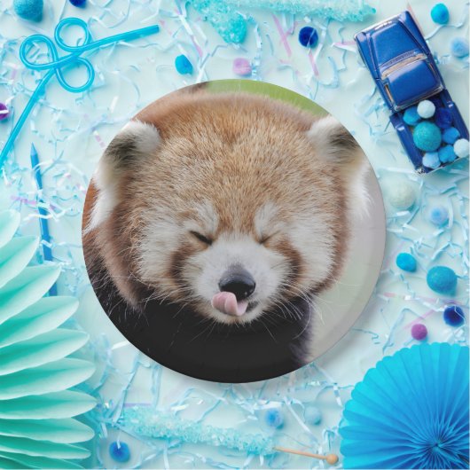 Papierplatte Foto roter Panda. Panda roux. Tiere. Pappteller (Party)