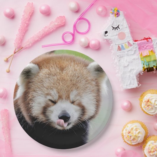Papierplatte Foto roter Panda. Panda roux. Tiere. Pappteller (Party)