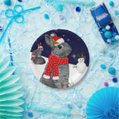 Papierplatte für Weihnachtskits Pappteller (Party)