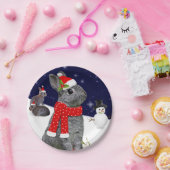 Papierplatte für Weihnachtskits Pappteller (Party)