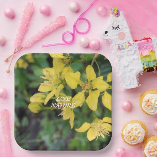 PAPIERPLATTE MIT NATURSCHUTZNACHRICHT PAPPTELLER (Party)