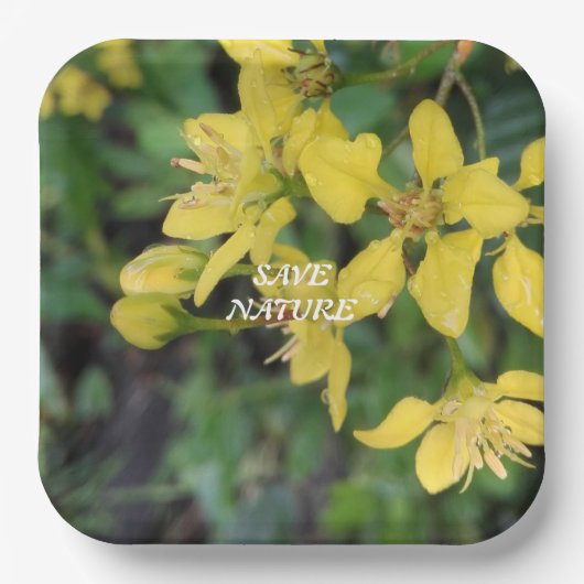 PAPIERPLATTE MIT NATURSCHUTZNACHRICHT PAPPTELLER (Vorderseite)