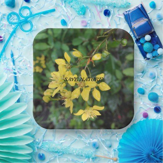 PAPIERPLATTE MIT NATURSCHUTZNACHRICHT PAPPTELLER (Party)