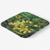 PAPIERPLATTE MIT NATURSCHUTZNACHRICHT PAPPTELLER (Gewinkelt)