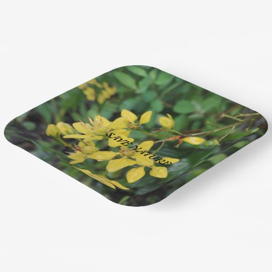 PAPIERPLATTE MIT NATURSCHUTZNACHRICHT PAPPTELLER (Gewinkelt)