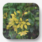 PAPIERPLATTE MIT NATURSCHUTZNACHRICHT PAPPTELLER (Vorderseite)