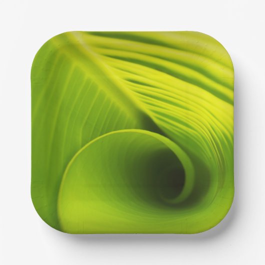 Papierplatte."Öko-freundliche Elegance: Leaf Desig Pappteller (Vorderseite)