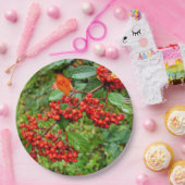 Papierplatte Pappteller (Party)